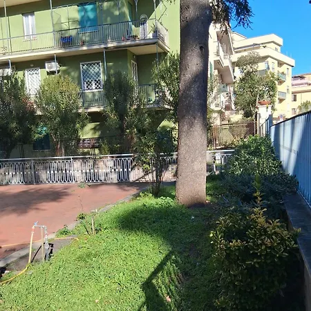 Vatican In Center In